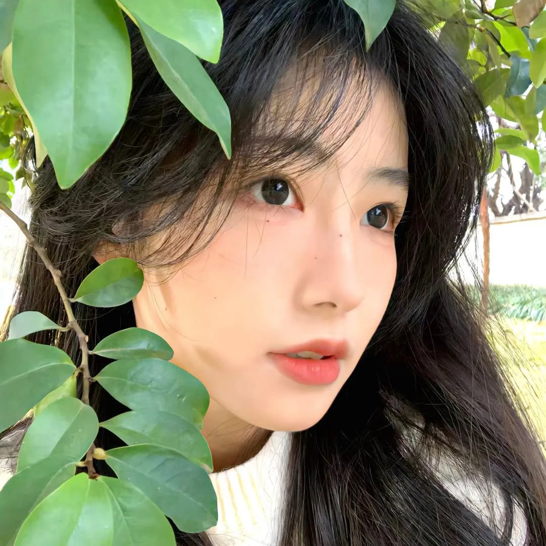 玩命情劫